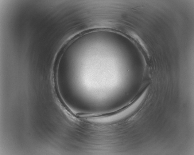 X0000069791072200605191032