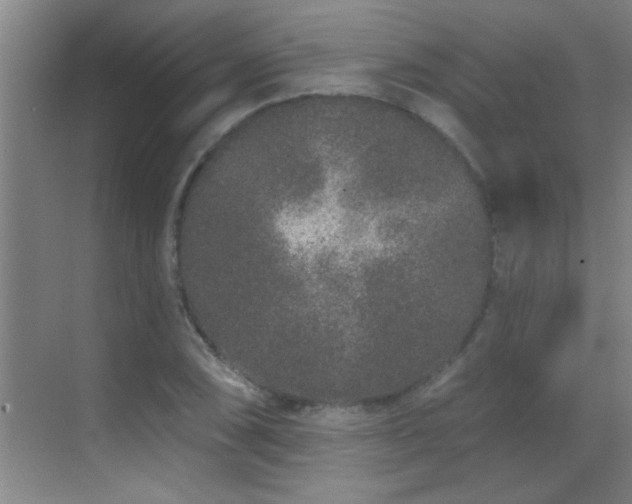 X0000069791074200605191032