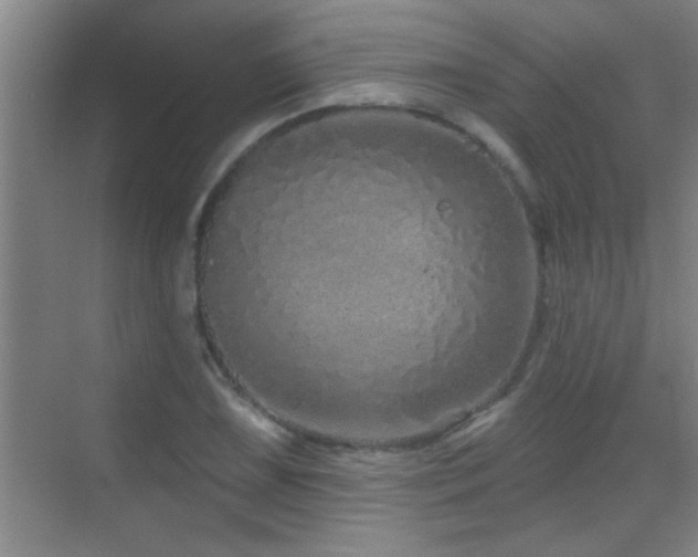 X0000069791075200605191032