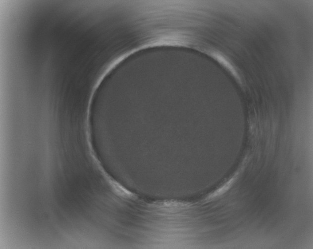 X0000069791077200605191032