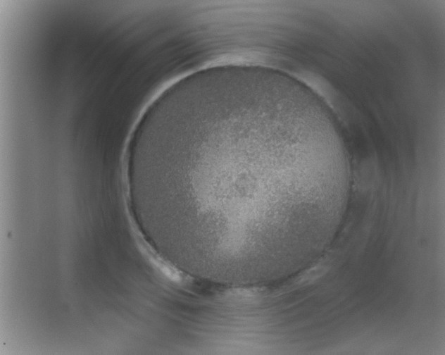 X0000069791078200605191032