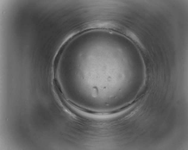 X0000069791079200605191032