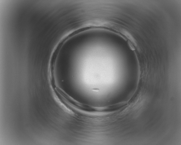 X0000069791080200605191032