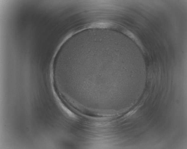 X0000069791083200605191032