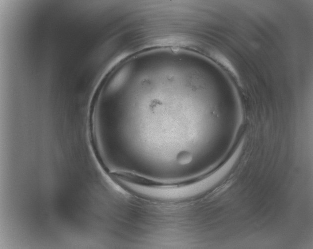 X0000069791087200605191032