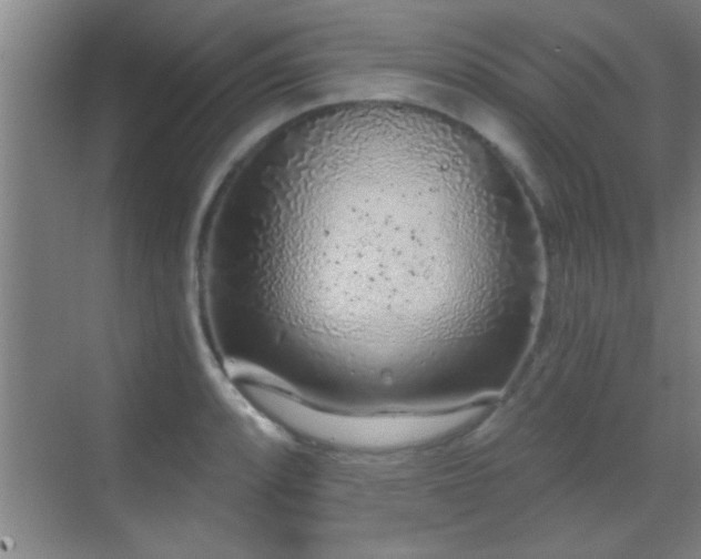 X0000069791088200605191032