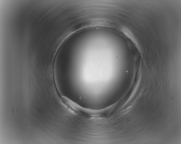 X0000069791089200605191032