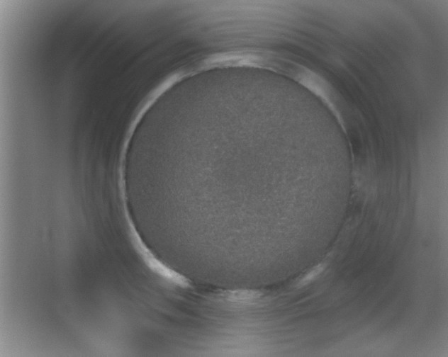 X0000069791090200605191032