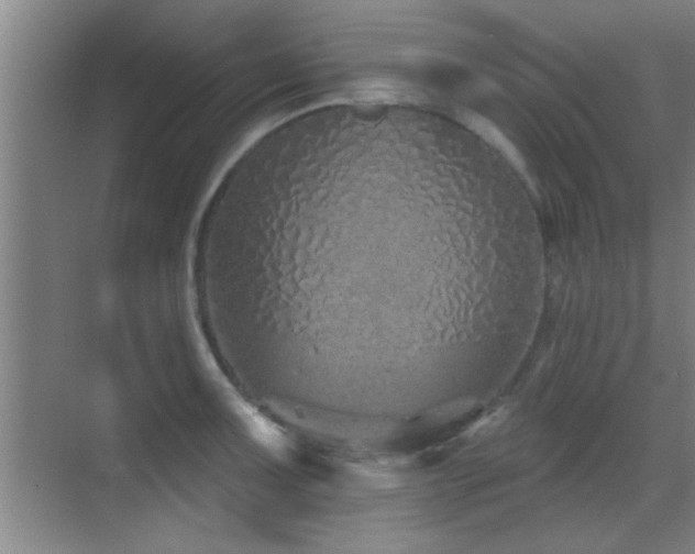 X0000069791091200605191032