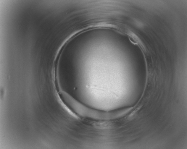 X0000069791092200605191032