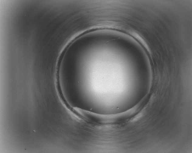 X0000069791093200605191032