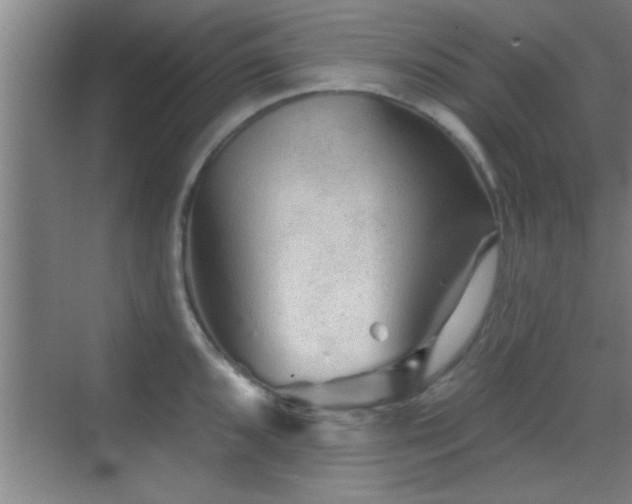 X0000069791096200605191032