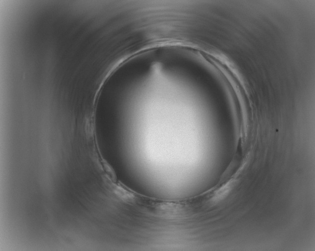 X0000069791097200605191032