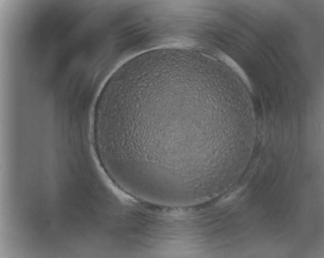 X0000069791099200605191032