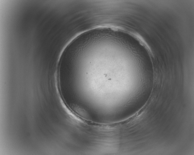 X0000069791100200605191032