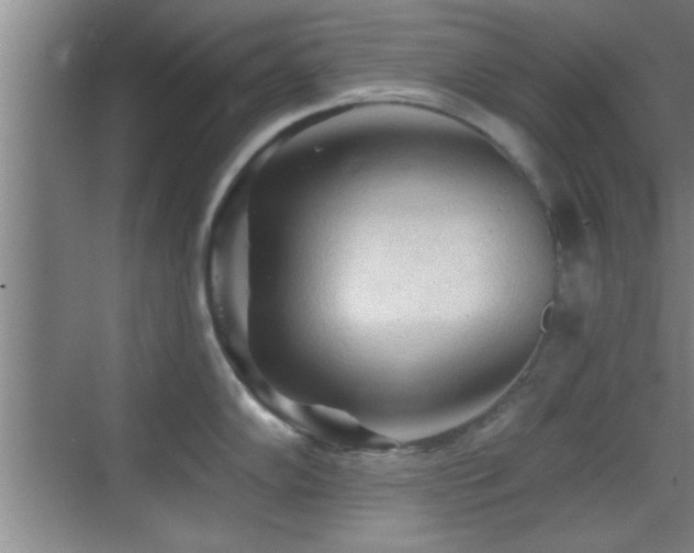 X0000069791102200605191032