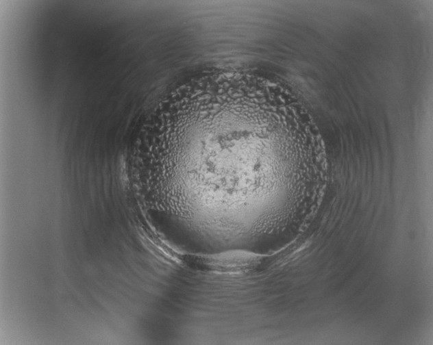 X0000069791106200605191031