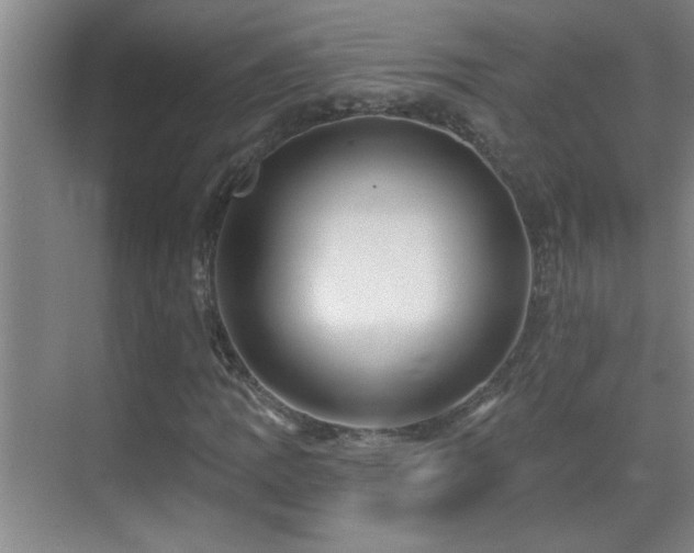 X0000069791109200605191031