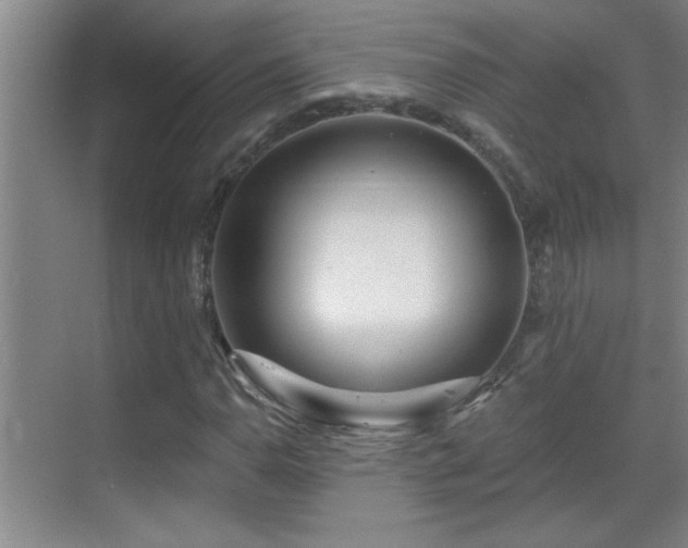 X0000069791110200605191031