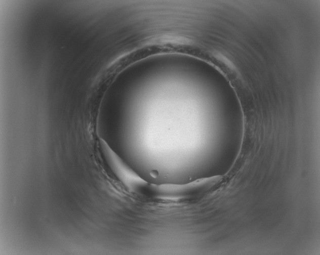 X0000069791112200605191031