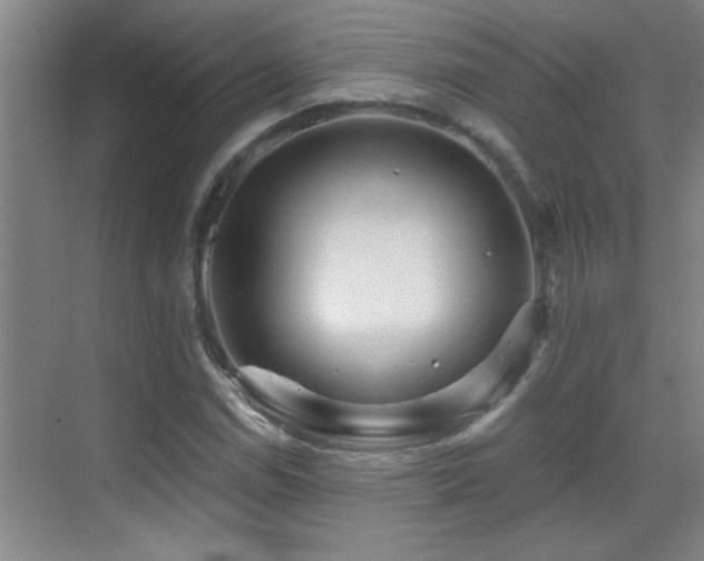 X0000069791114200605191031