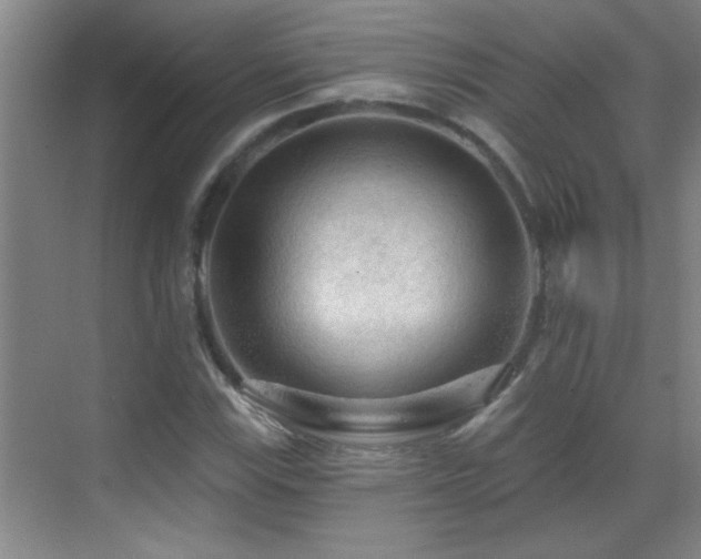 X0000069791115200605191031