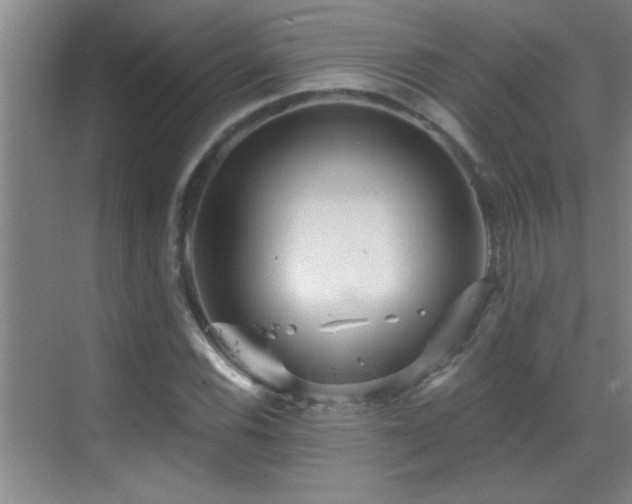 X0000069791116200605191031