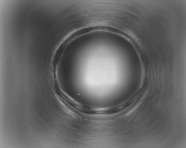 X0000069791118200605191031