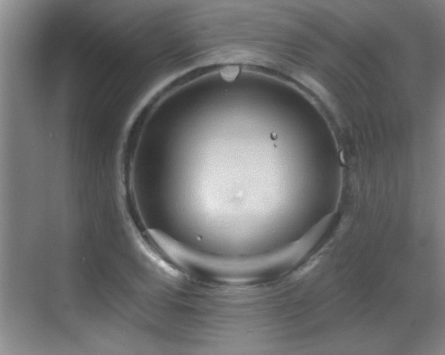 X0000069791120200605191031