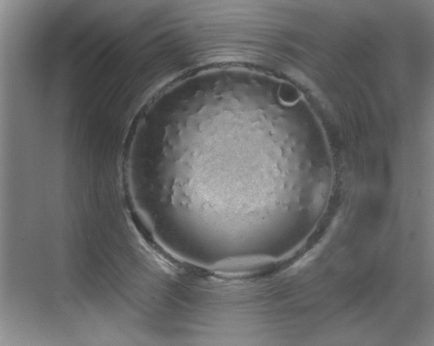 X0000069791121200605191031