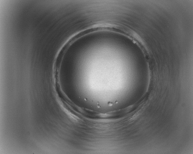 X0000069791124200605191031