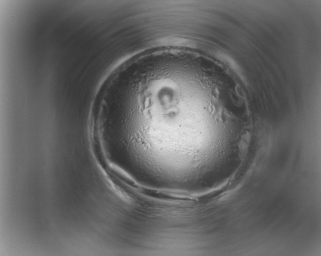 X0000069791125200605191031