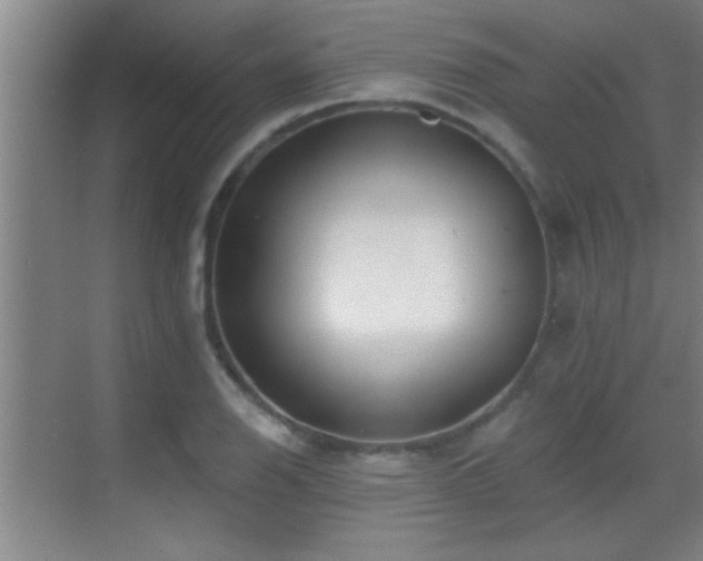 X0000069791126200605191031