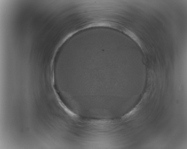 X0000069791127200605191031