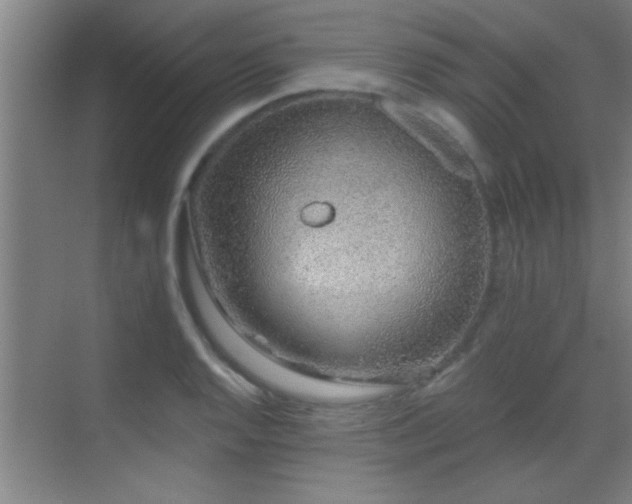 X0000069791128200605191031