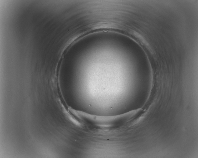 X0000069791129200605191031