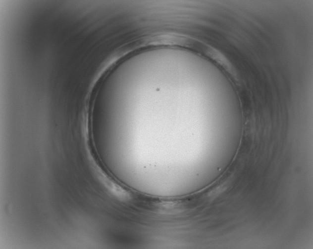 X0000069791130200605191031