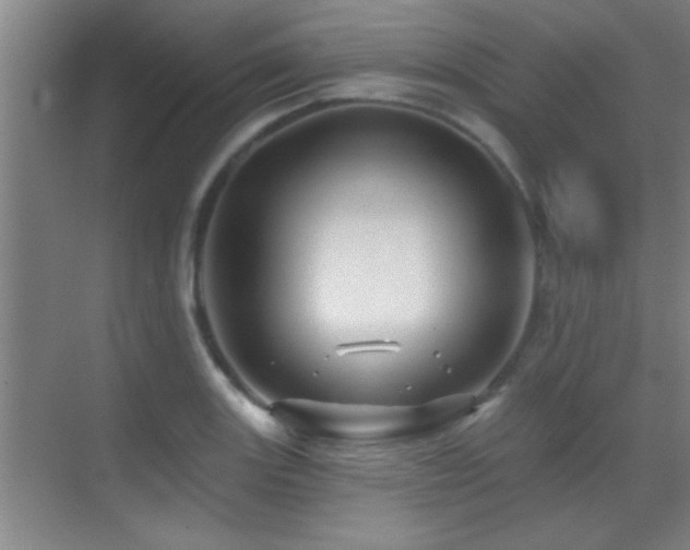 X0000069791131200605191031