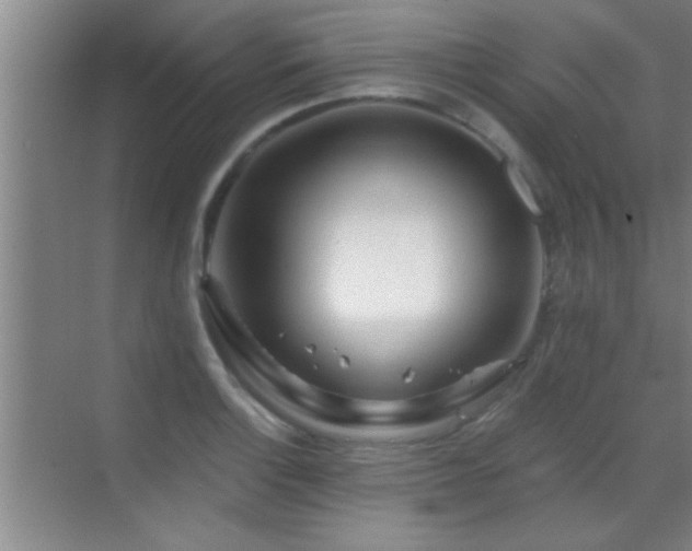 X0000069791132200605191031