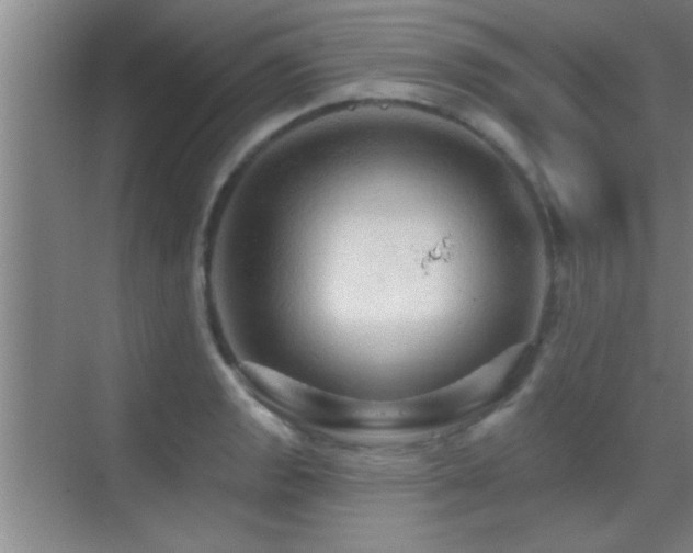 X0000069791133200605191031