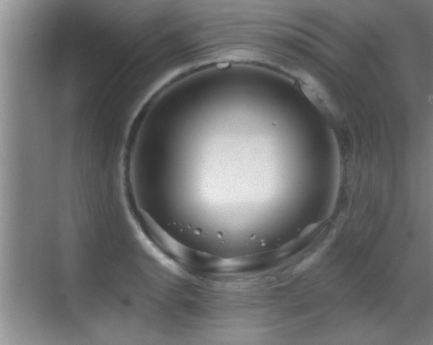 X0000069791134200605191031