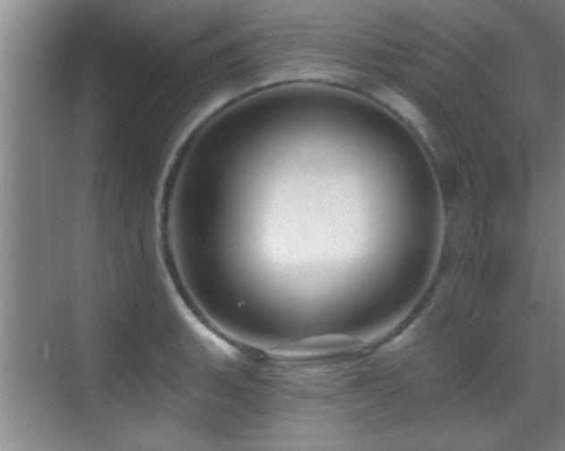 X0000069791135200605191031