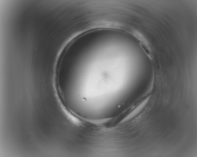 X0000069791136200605191031