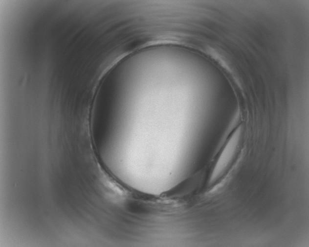 X0000069791137200605191031