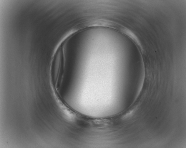 X0000069791138200605191031