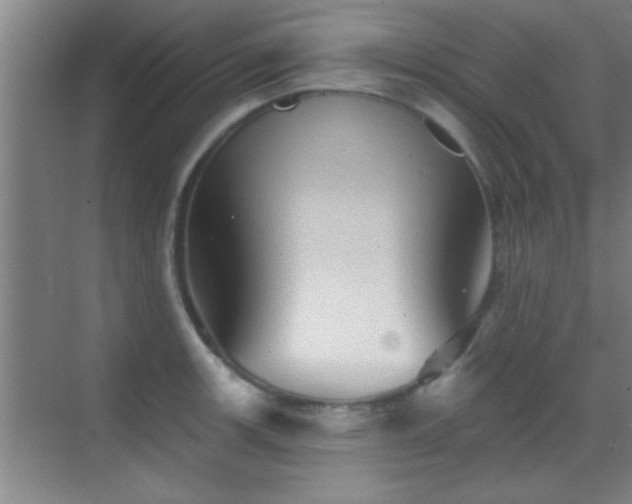 X0000069791139200605191031