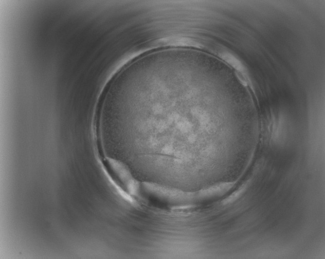 X0000069791141200605191031