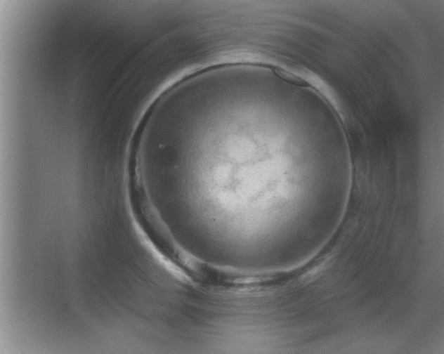 X0000069791142200605191031