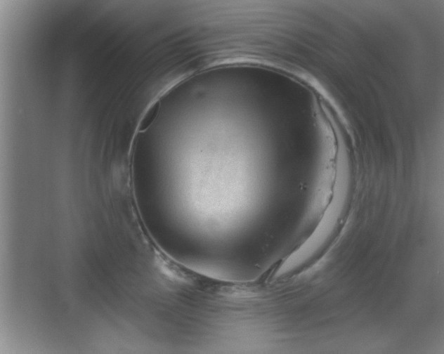 X0000069791145200605191032