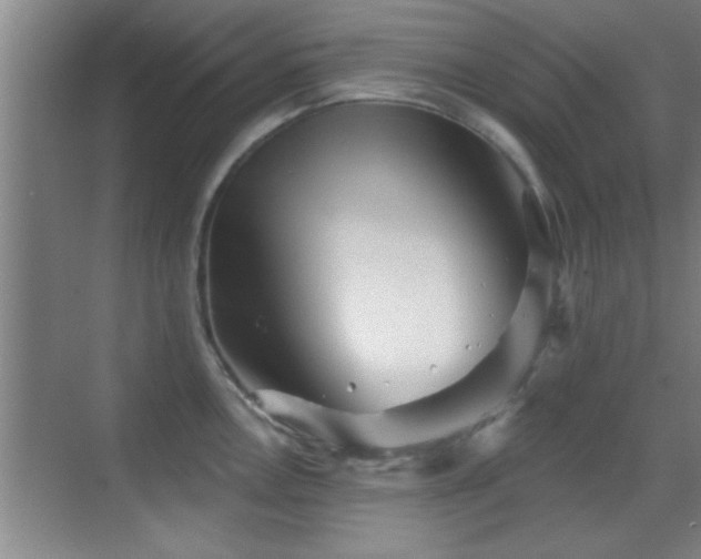 X0000069791146200605191032